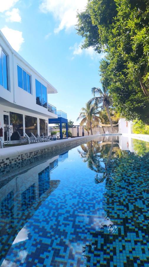 Posada Buena Vista Beach Club El Yaque Eksteriør bilde